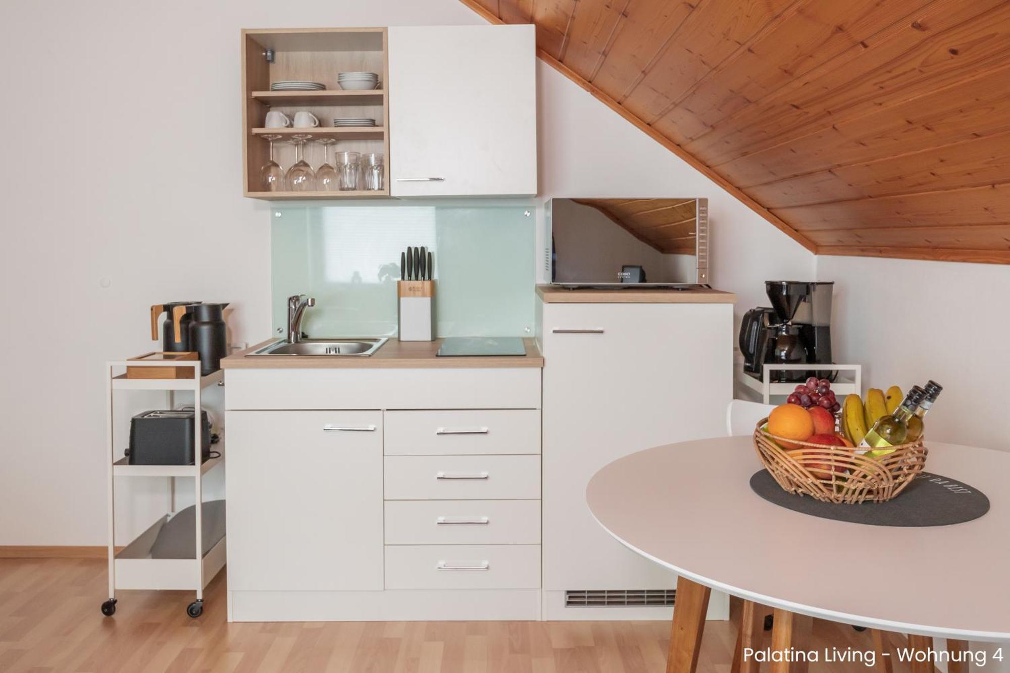 Palatina Living Apartment Fischbach bei Dahn Ngoại thất bức ảnh