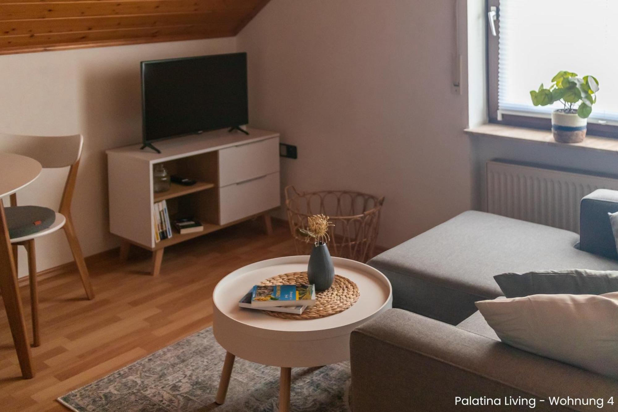 Palatina Living Apartment Fischbach bei Dahn Ngoại thất bức ảnh