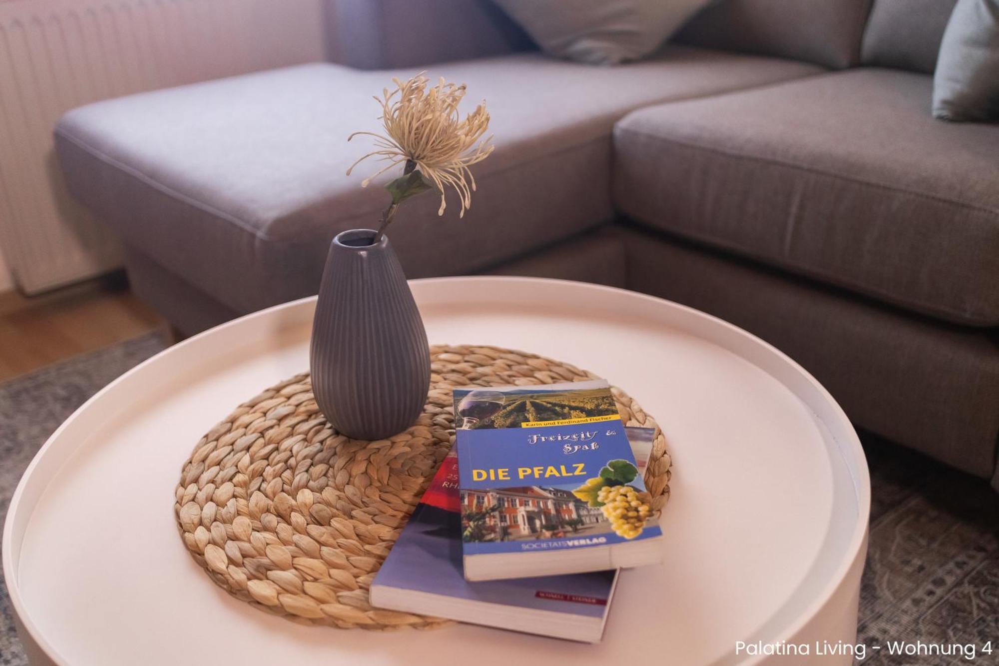 Palatina Living Apartment Fischbach bei Dahn Ngoại thất bức ảnh