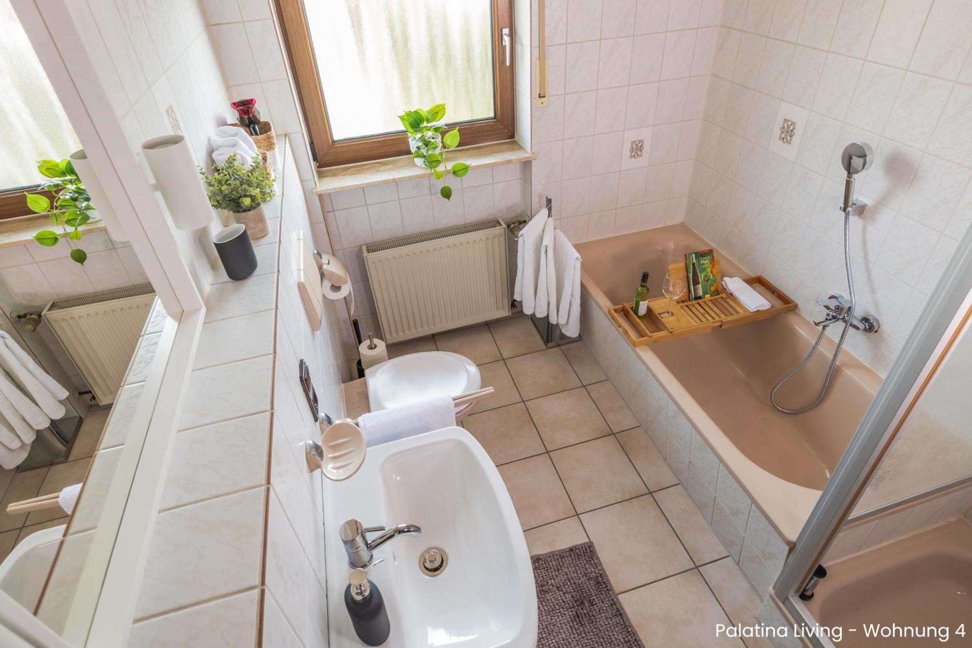 Palatina Living Apartment Fischbach bei Dahn Ngoại thất bức ảnh