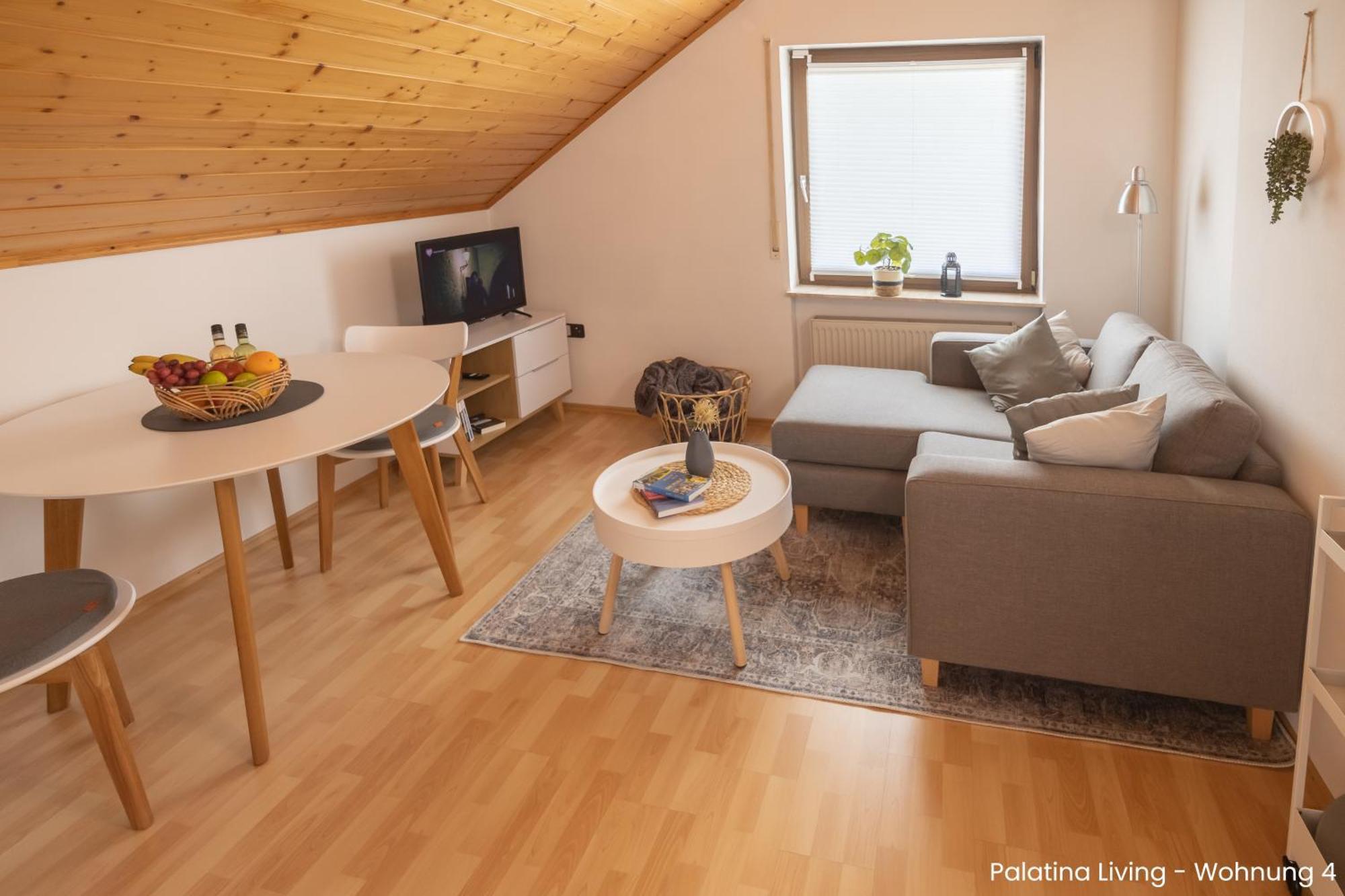 Palatina Living Apartment Fischbach bei Dahn Ngoại thất bức ảnh