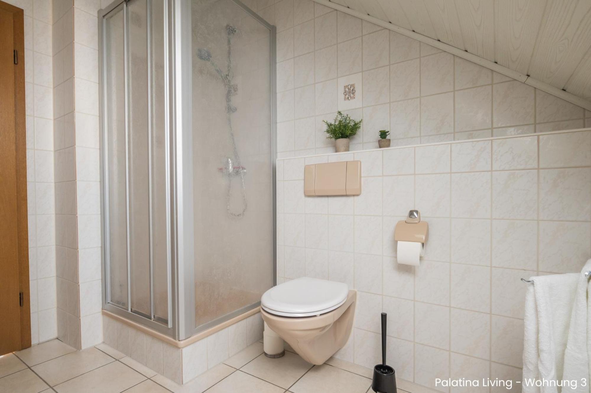 Palatina Living Apartment Fischbach bei Dahn Ngoại thất bức ảnh
