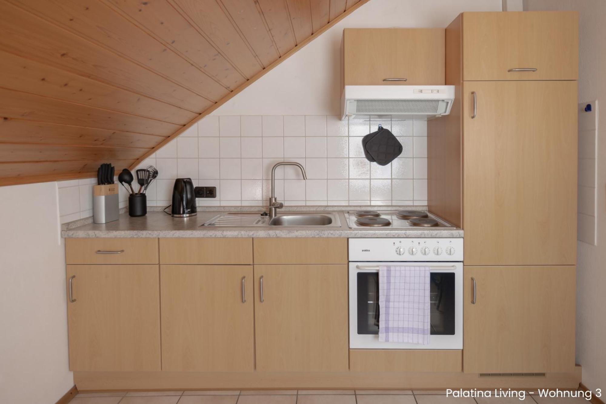 Palatina Living Apartment Fischbach bei Dahn Ngoại thất bức ảnh