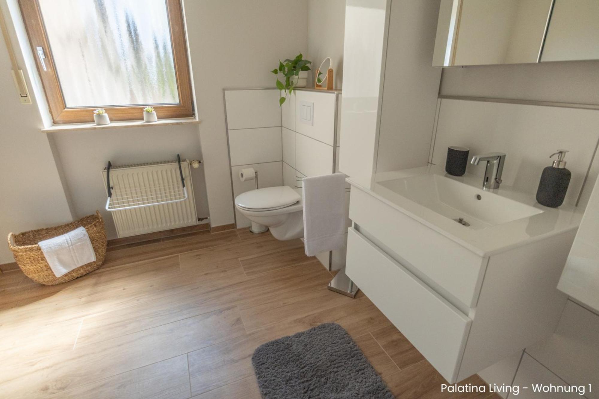 Palatina Living Apartment Fischbach bei Dahn Ngoại thất bức ảnh