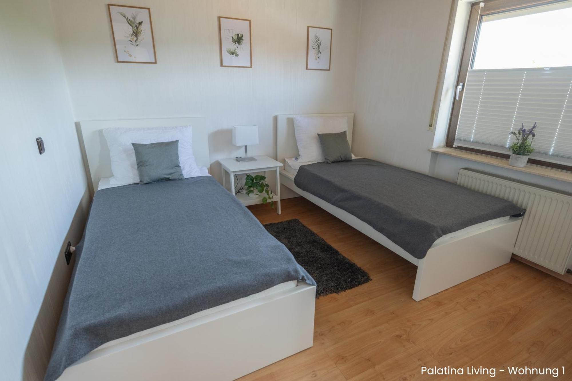 Palatina Living Apartment Fischbach bei Dahn Ngoại thất bức ảnh