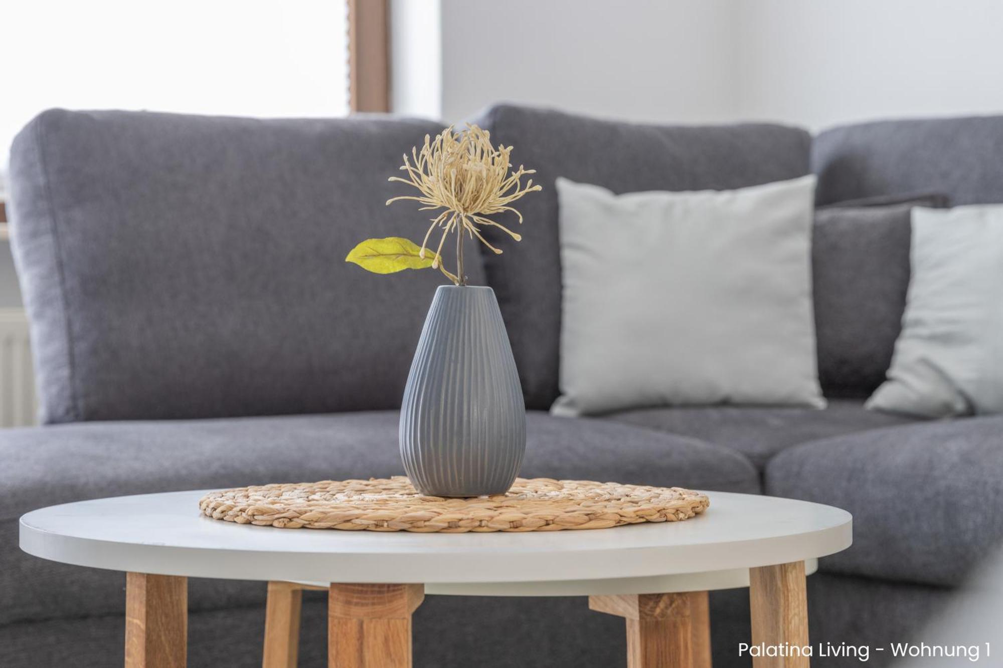 Palatina Living Apartment Fischbach bei Dahn Ngoại thất bức ảnh
